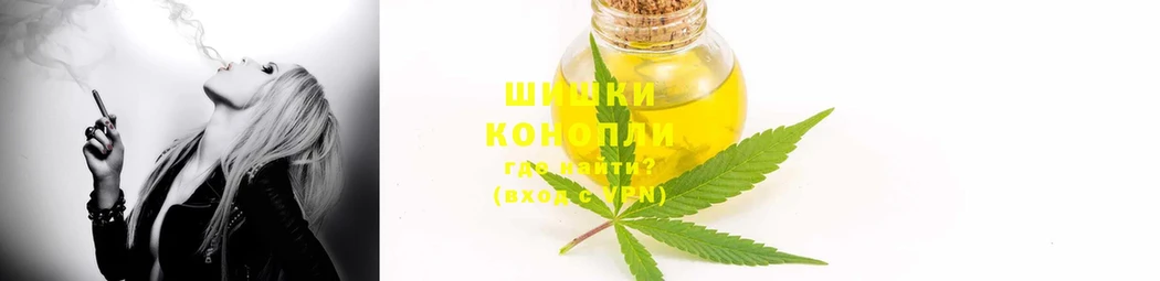 где купить   Гаврилов Посад  Бошки марихуана White Widow 